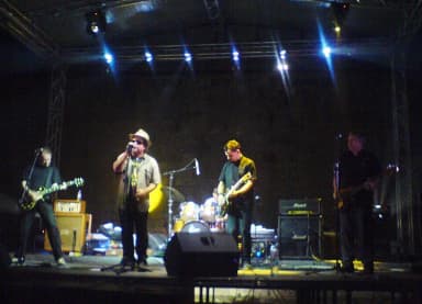 Pankrti: Pankrti performing live at Nisomnia festival in 2009