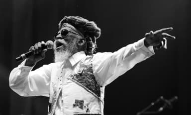 Bunny Wailer: Bunny Wailer in concert at Reggae Geel, Belgium. August 1, 2014. Picture by Peter Verwimp.