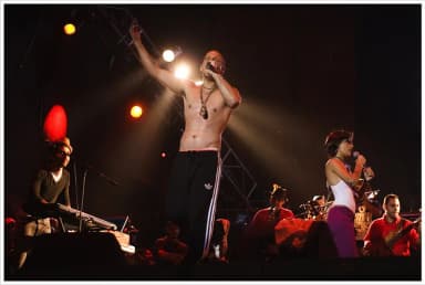 Calle 13: Concierto gratuito en el aniversario de Ali Primera