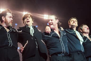 The Hives: The Hives in 2025